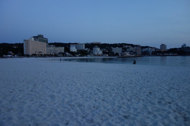 DSC00650 [50%].JPG