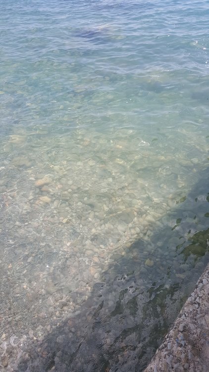 IMG-20170710-WA0044[1].jpeg