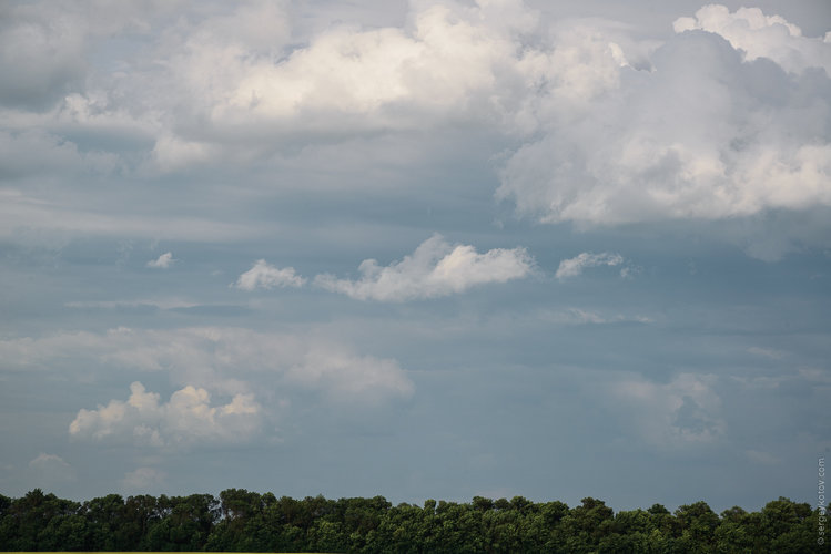 DSC_0005.jpg