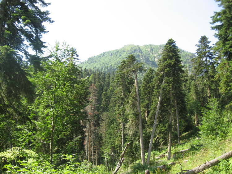 IMG_2037.JPG