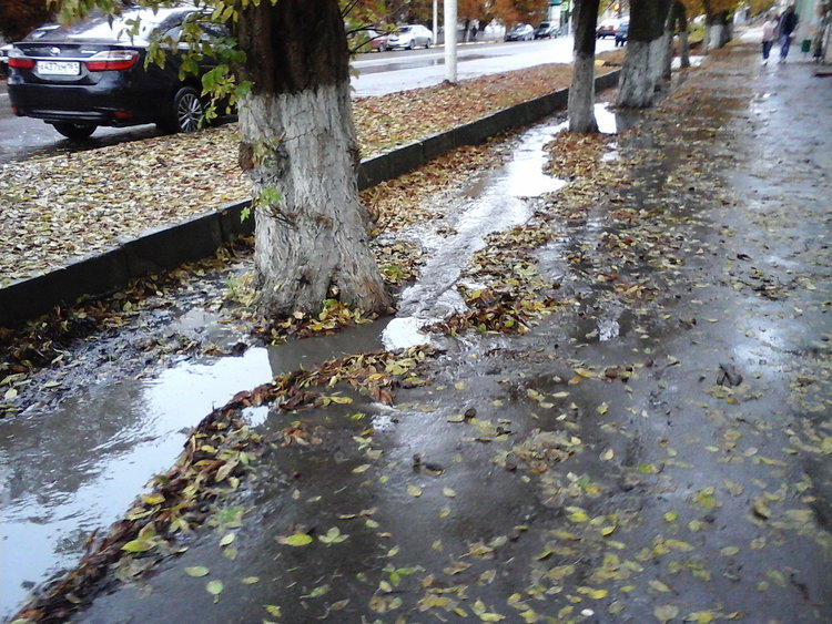 Московская.jpg