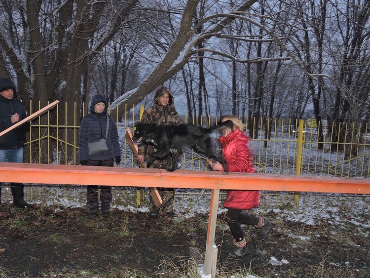 плщд07.jpg