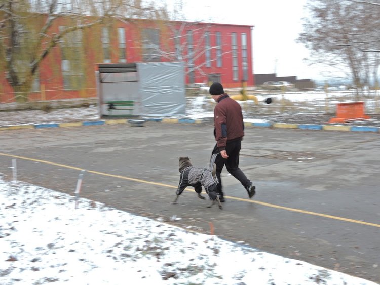 плщд02.jpg