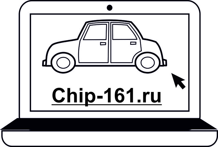 логотип чип 1217.jpg