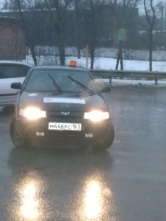 баран.jpg