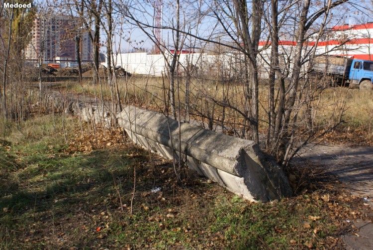 DSC04033.jpg