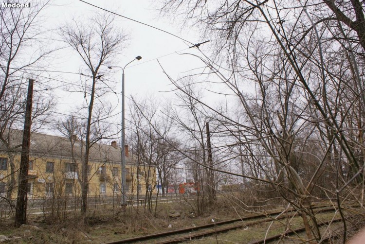 DSC08548.jpg