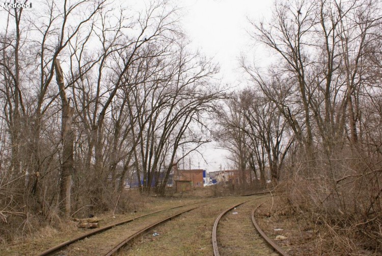 DSC08551.jpg