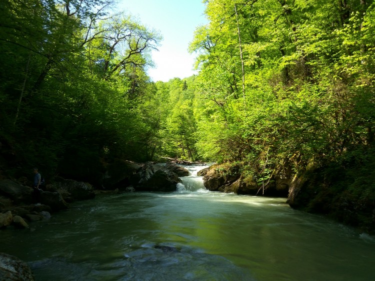 IMG_20180501_095434_HDR.jpg