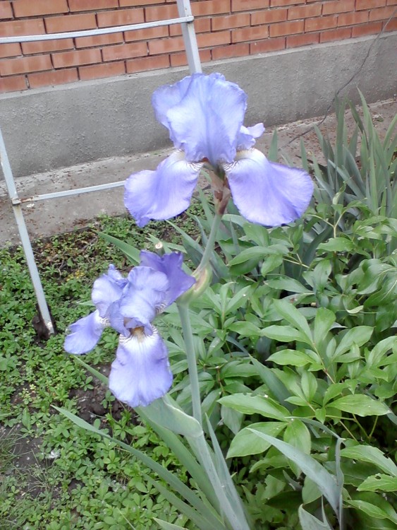 P230518_1847.jpg