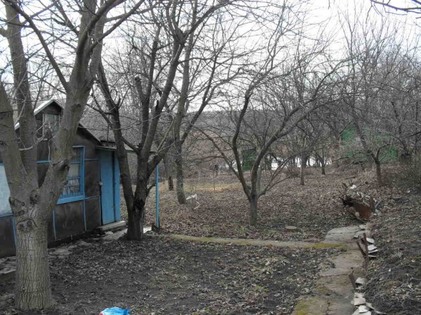 SDC10357.JPG