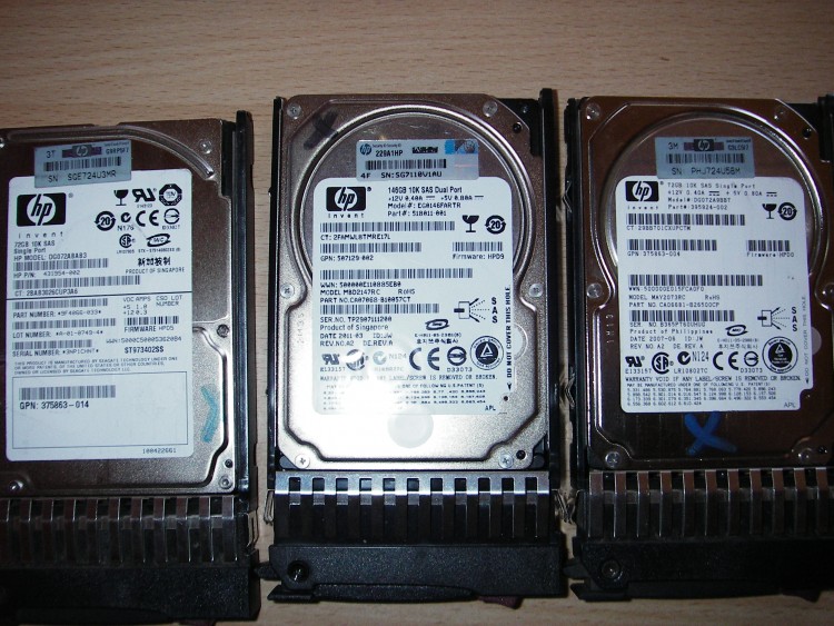 IMGP9476.JPG