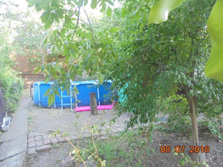 DSC02254.JPG