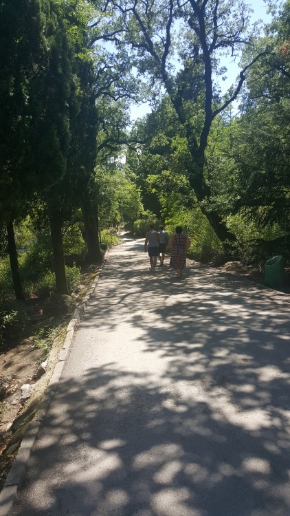 20180717_134452.jpg