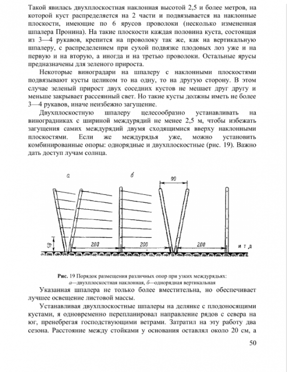 Безымянный.png