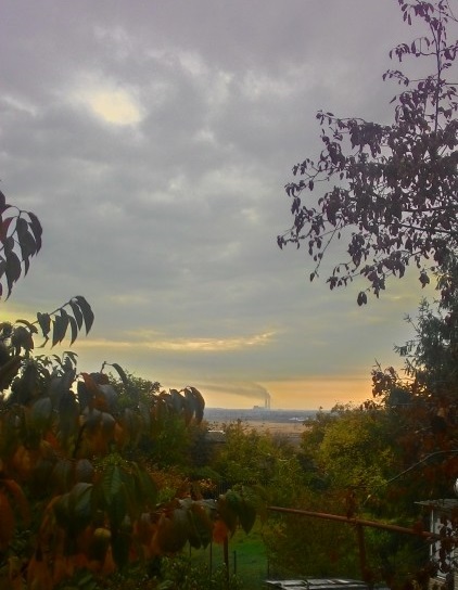 P_20181022_082916_HDR.jpg