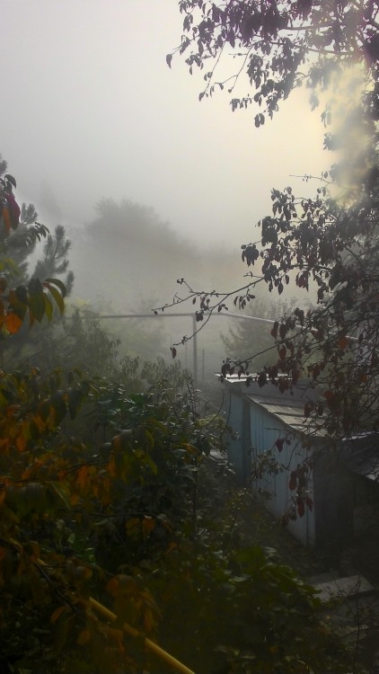 P_20181024_080802_HDR.jpg