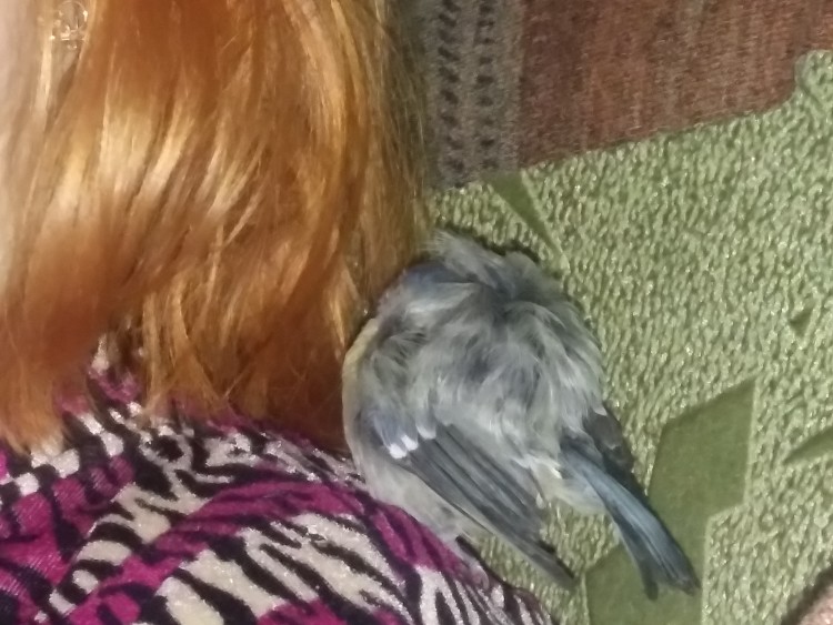20181031_194615.jpg