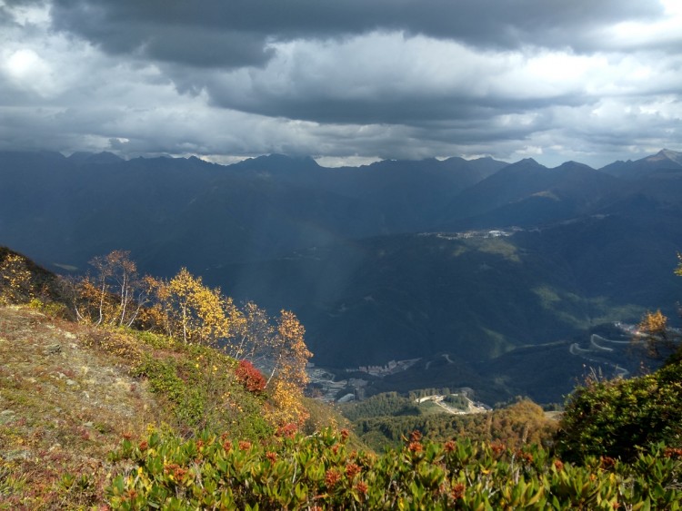 IMG_20181002_114145_HDR.jpg