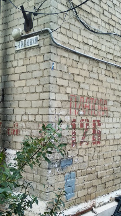 Баклановский.jpg