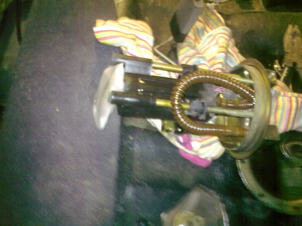 03042010365.jpg