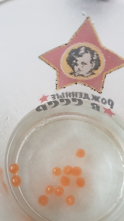 2018-12-08 22-37-54.JPG