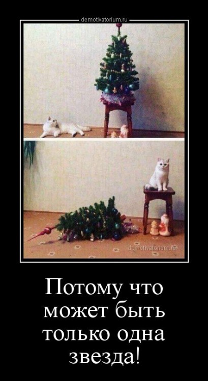 1545378483_demotivatory-14.jpg