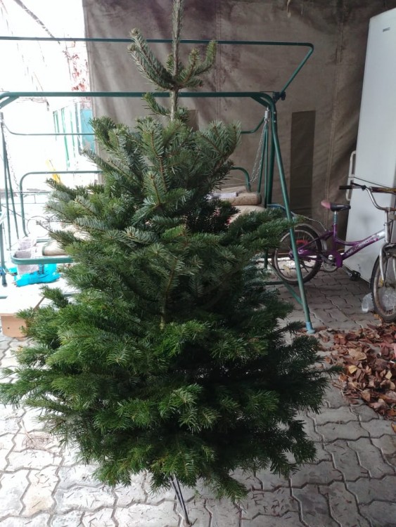 IMG-20181222-WA0049.jpg