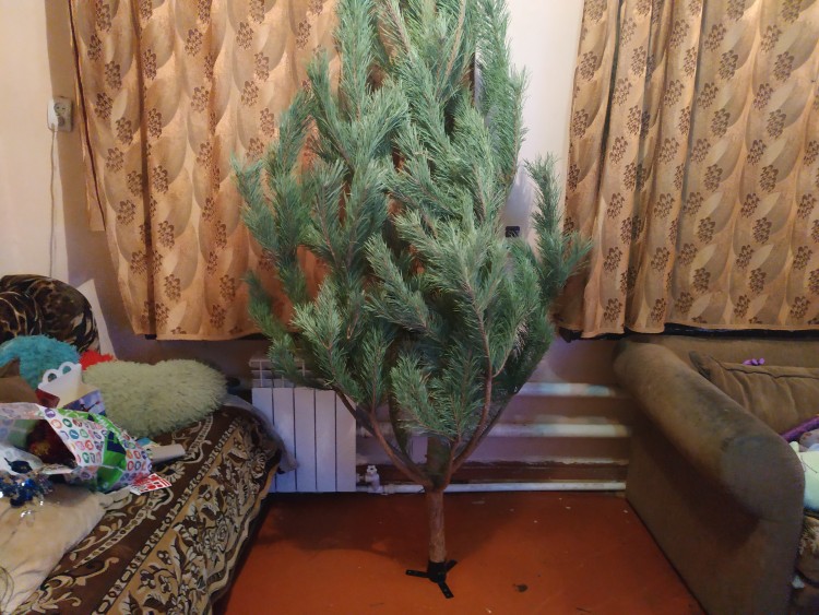20181229_203612.jpg