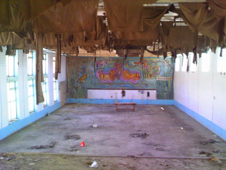 PIC489.jpg