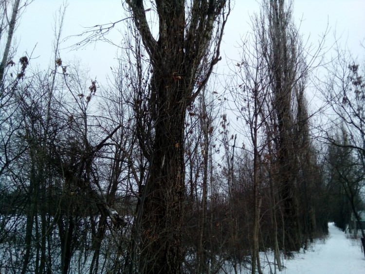 IMG_20190108_161015.jpg