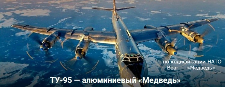 Ту-95 (по кодификации НАТО Bear — «Медведь»).jpg
