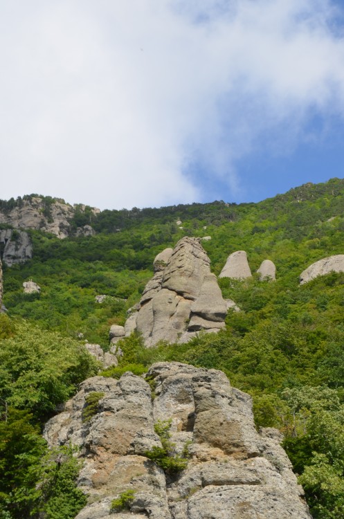 DSC_0388.JPG