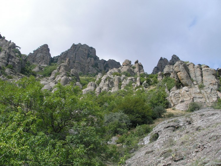 P1011006.JPG