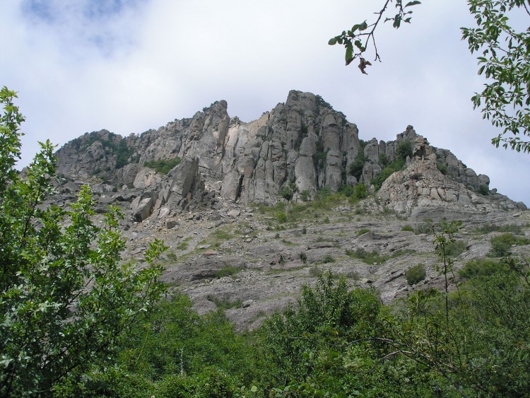 P1011013.JPG