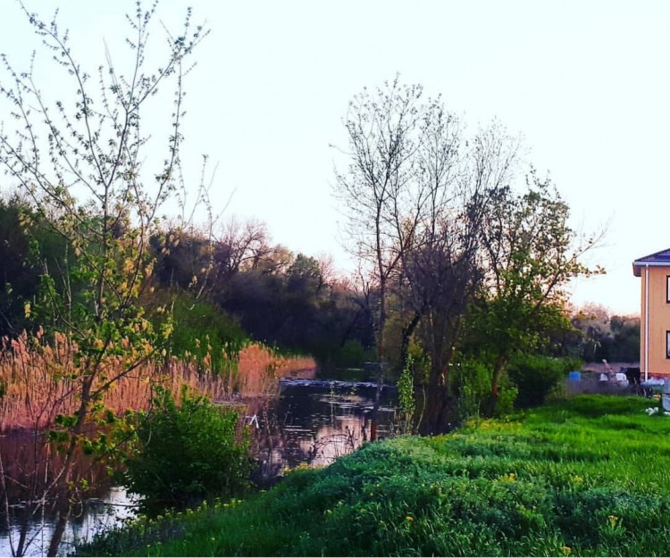 20190217_132807.jpg
