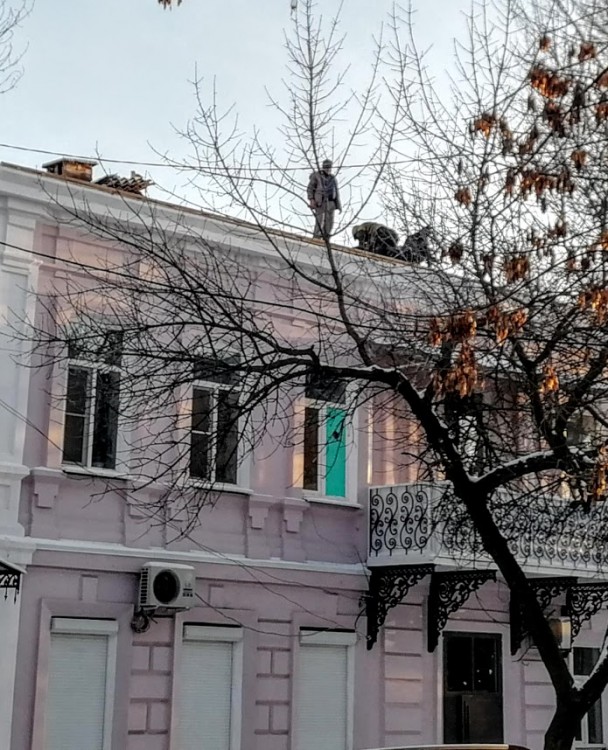 Лебедя крыша.jpg