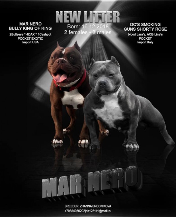 50329100_1884025795039771_8490724055802970112_n.jpg