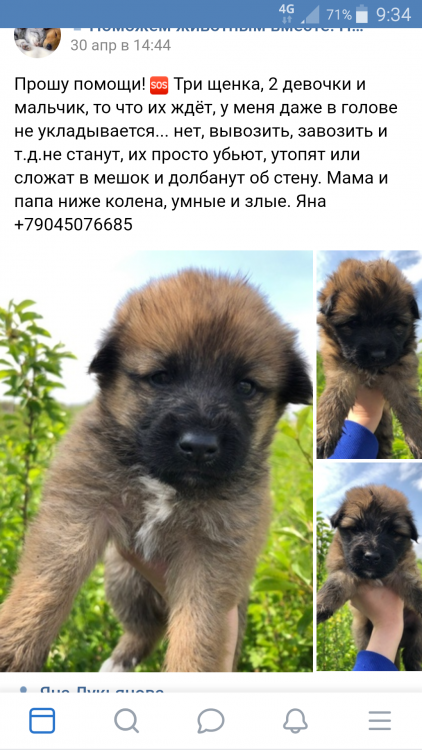 Screenshot_2019-05-02-09-34-29.png
