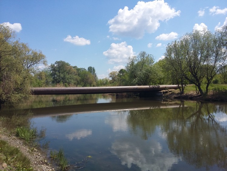 20190505_124224.jpg