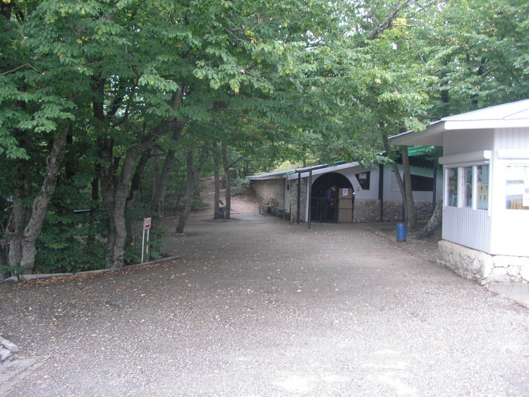 P1011383.JPG