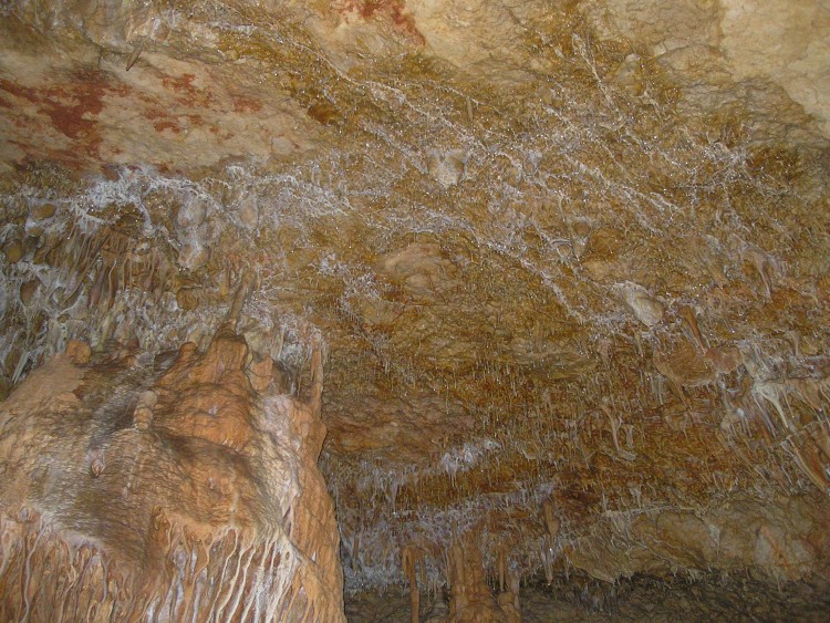 P1011435.JPG