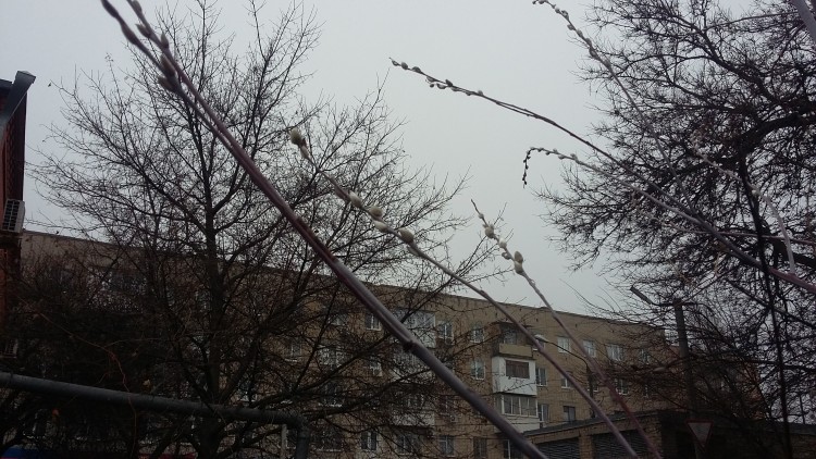 20191119_105959.jpg