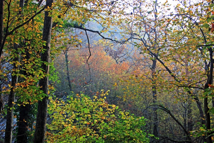 IMG_0617.JPG