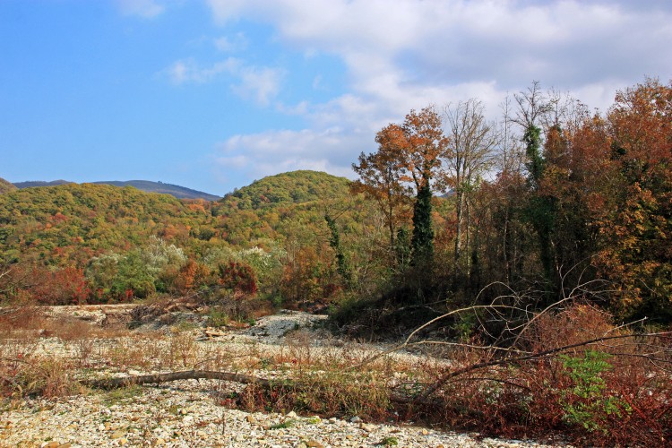 IMG_1065.JPG