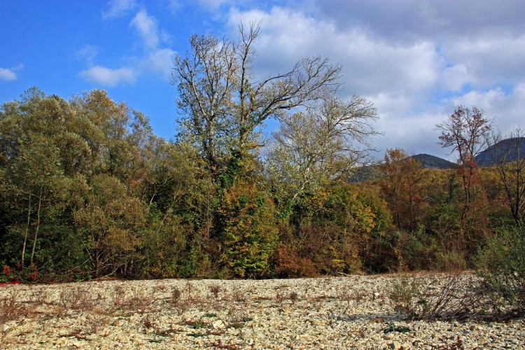 IMG_1070.JPG