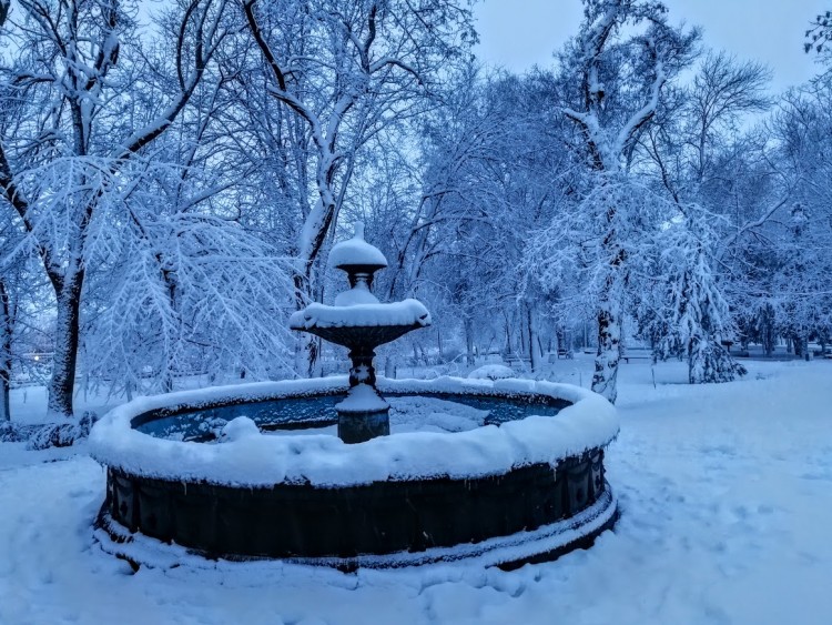 сумерки 5.jpg