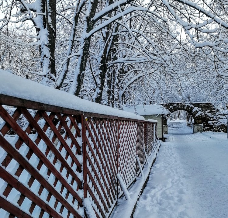 арка и забор.jpg