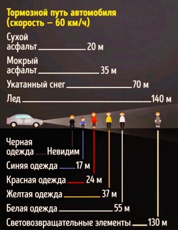 видимость пешеходов.jpeg
