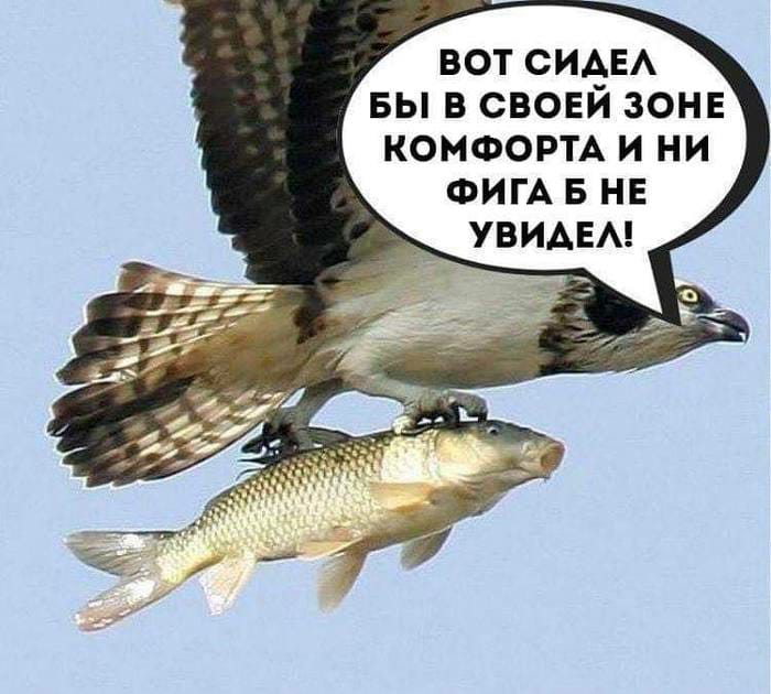 7f677a71-f53c-4b24-a429-b903c4907ef0.jpg